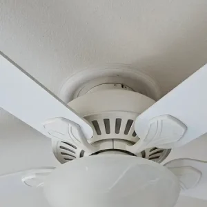 Ceiling Fan Installation in Lodi